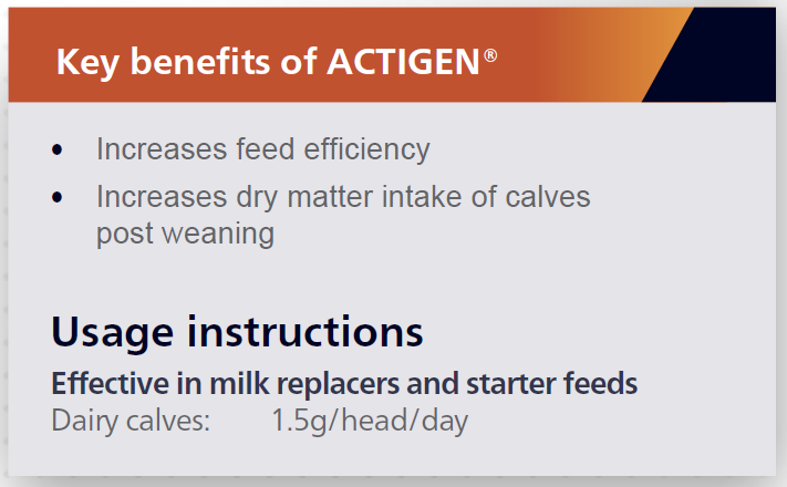 Key benefits of ACTIGEN for calves. 