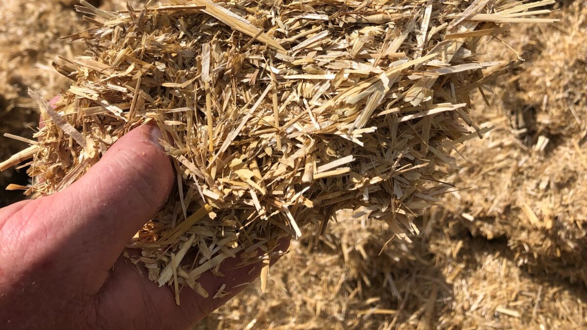 Tackle the threat of mycotoxins with forage analysis