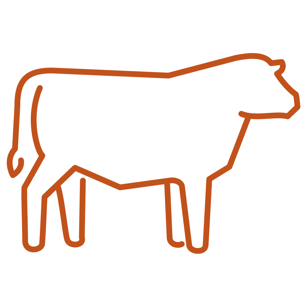 Beef Cattle icon.