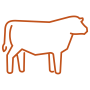 Beef Cattle icon.