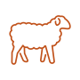 Digital PNG-icon-sheep-P167 Sheep icon