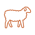 Digital PNG-icon-sheep-P167 Sheep icon